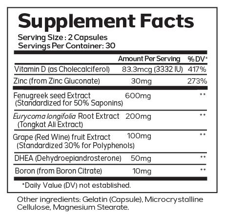 TESTOSTERONE SUPPORT